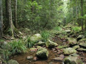 Amamoor State Forest - St Kilda Accommodation 0