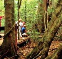 Mary Cairncross Scenic Reserve - St Kilda Accommodation