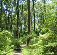 Mapleton Falls National Park