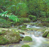 Mossman Gorge Daintree National Park - St Kilda Accommodation