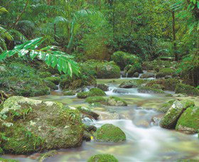 Mossman Gorge, Daintree National Park - St Kilda Accommodation 0