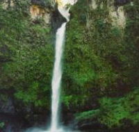 Nandroya Falls Circuit Track Wooroonooran National Park - St Kilda Accommodation