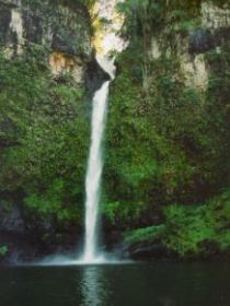 Nandroya Falls Circuit Track, Wooroonooran National Park - St Kilda Accommodation 0