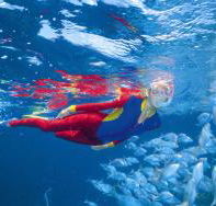 Great Detached Reef Dive Site - St Kilda Accommodation