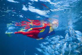 Great Detached Reef Dive Site - St Kilda Accommodation 0