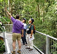 Daintree Discovery Centre - St Kilda Accommodation