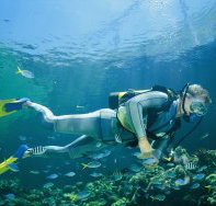 Tijou Reef - St Kilda Accommodation