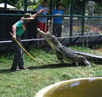 Snakes Downunder Reptile Park and Zoo - St Kilda Accommodation