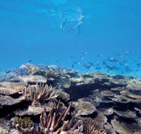 Australian Institute of Marine Science - St Kilda Accommodation