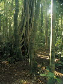  St Kilda Accommodation