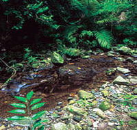 Wompoo Walk - St Kilda Accommodation