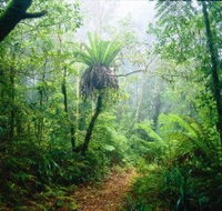 Lamington National Park Green Mountains Section - St Kilda Accommodation