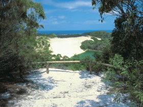 Lake Wabby Track - St Kilda Accommodation 0
