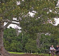 Ravensbourne National Park - St Kilda Accommodation