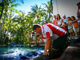 Daydream Island QLD St Kilda Accommodation