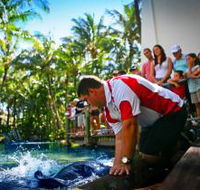 The Living Reef on Daydream Island - St Kilda Accommodation