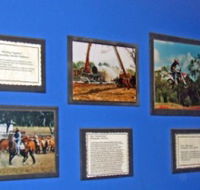 Town Hall Photographic Display - St Kilda Accommodation