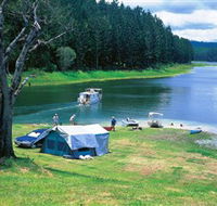 Danbulla National Park and Danbulla State Forest - St Kilda Accommodation