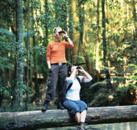 Birdwatching on the Fraser Coast - St Kilda Accommodation