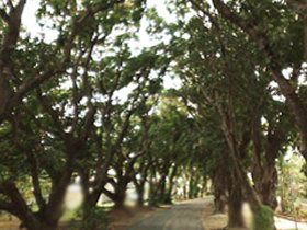 Eimeo QLD St Kilda Accommodation