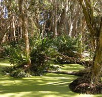 Arkarra Lagoons and Tea Gardens - St Kilda Accommodation