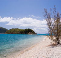 Paddle Bay Track and Campsite - St Kilda Accommodation