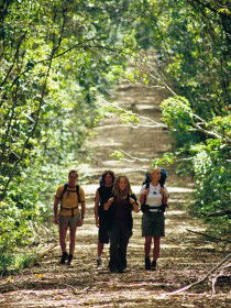 Wet Tropics Great Walk - St Kilda Accommodation 0
