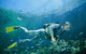 Manta Ray Bommie Dive Site - thumb 0