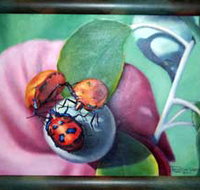 Kingaroy Shire Art Gallery - St Kilda Accommodation