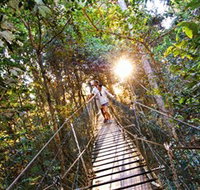 Tree Top Walkway - St Kilda Accommodation