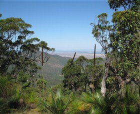 Zamia Walk - St Kilda Accommodation 0