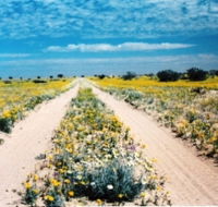 Birdsville Track - St Kilda Accommodation
