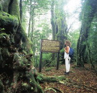 Tooloona Creek circuit - St Kilda Accommodation