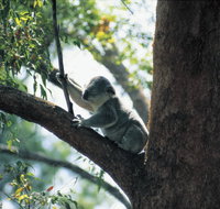 Daisy Hill Conservation Park - St Kilda Accommodation