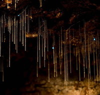 Cedar Creek Estate - St Kilda Accommodation