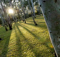 Tondoon Botanic Gardens - St Kilda Accommodation