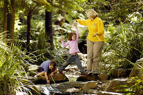Tondoon Botanic Gardens - St Kilda Accommodation 2