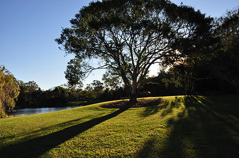 Tondoon Botanic Gardens - St Kilda Accommodation 4