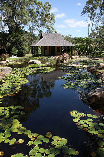 Tondoon Botanic Gardens - St Kilda Accommodation 8