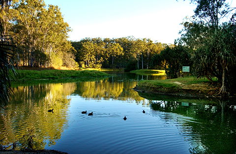 Tondoon Botanic Gardens - St Kilda Accommodation 9