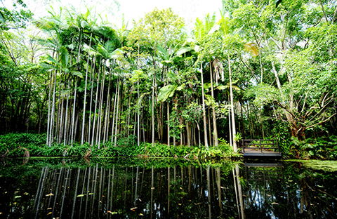 Tondoon Botanic Gardens - St Kilda Accommodation 11