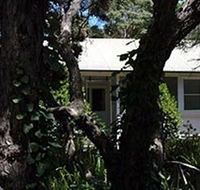Melaleuca Gallery - St Kilda Accommodation