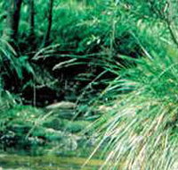 Lerderderg State Park - St Kilda Accommodation