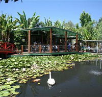 Blue Lotus Water Garden - St Kilda Accommodation