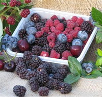 Bright Berry Farms - St Kilda Accommodation