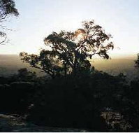 Yarra Flats - St Kilda Accommodation