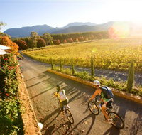 Boyntons Feathertop Winery - St Kilda Accommodation