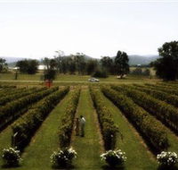 Rochford Wines - St Kilda Accommodation