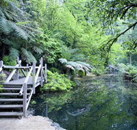 Alfred Nicholas Gardens - St Kilda Accommodation