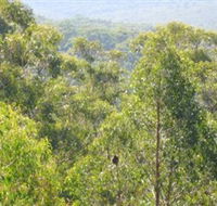 Bunyip State Park - St Kilda Accommodation